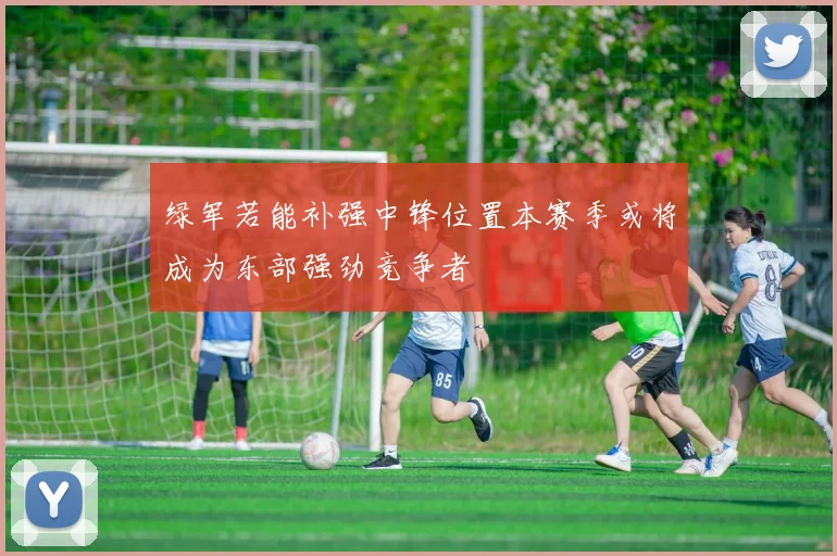 绿军若能补强中锋位置本赛季或将成为东部强劲竞争者
