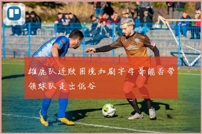 雄鹿队连败困境加剧字母哥能否带领球队走出低谷