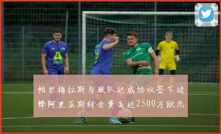 帕尔梅拉斯与狼队达成协议签下边锋阿里亚斯转会费高达2500万欧元